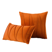 Housse de Coussin en Velours Polyester - Modèle Uni avec Fermeture Éclair