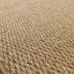 Tapis de Porte Absorbant - Tapis d'Entrée en Polypropylène
