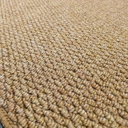 Tapis de Porte Absorbant - Tapis d'Entrée en Polypropylène avec Dos Antidérapant