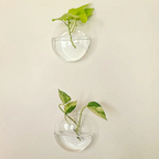 Plantes Murales En Verre Borosilicate Pour Petites Plantes | Vase En Verre Suspendue Pour Décoration Murale | Présentation De Plantes Intérieures