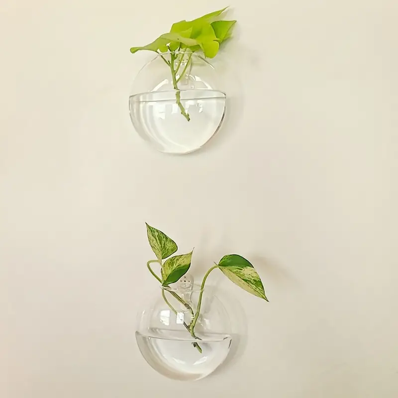 Plantes Murales En Verre Borosilicate Pour Petites Plantes | Vase En Verre Suspendue Pour Décoration Murale | Présentation De Plantes Intérieures
