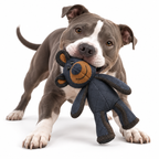 Jouet pour Chien en Tissu Renforcé - Ours en Peluche pour Mastication et Jeu Interactif