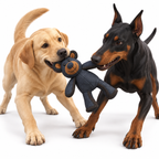 Jouet pour Chien en Tissu Renforcé - Ours en Peluche pour Mastication et Jeu Interactif