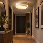 Plafonnier LED Circulaire - Luminaire en Métal avec Module LED Intégré