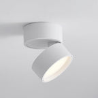Lampe de Plafond LED en Saillie - Plafonnier 30 cm avec Diffuseur Mat