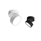 Lampe de Plafond LED en Saillie - Plafonnier 30 cm avec Diffuseur Mat