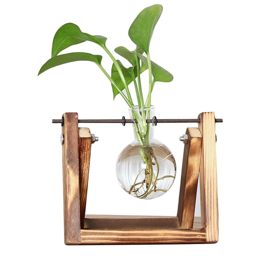 Station de Bouturage pour Plantes - Support en Bois avec Tubes en Verre