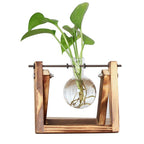 Station de Bouturage pour Plantes - Support en Bois avec Tubes en Verre