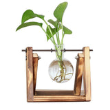 Station de Bouturage pour Plantes - Support en Bois avec Tubes en Verre