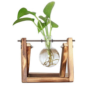 Station de Bouturage pour Plantes - Support en Bois avec Tubes en Verre