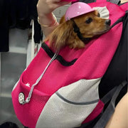 Sac à Dos de Transport pour Animaux - Maille avec Fermeture Éclair