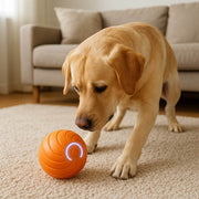 Jouet Interactif pour Chien - Plastique PC et TPR avec Format Compact