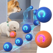 Jouet Interactif pour Chien - Plastique PC et TPR avec Format Compact