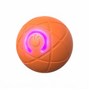Jouet Interactif pour Chien - Plastique PC et TPR avec Format Compact