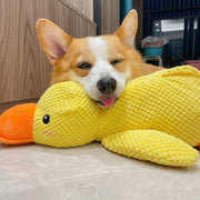 Jouet Canard en Peluche pour Chien - Sifflet Intégré pour Jeu Interactif