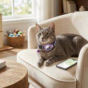 Collier pour Chat - Accessoire de Cou pour Usage Quotidien