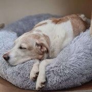 Lit Rond pour Chien et Chat - Nylon et Fausse Fourrure avec Bord Rembourré