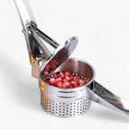 Presse-Purée en Acier Inoxydable - Presse Manuel pour Pommes de Terre, Légumes et Fruits