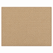 Tapis de Porte Absorbant - Tapis d'Entrée en Polypropylène avec Dos Antidérapant