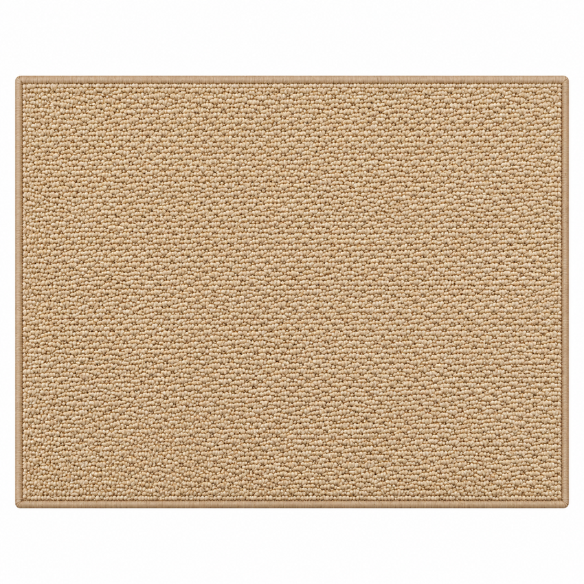 Tapis de Porte Absorbant - Tapis d'Entrée en Polypropylène avec Dos Antidérapant