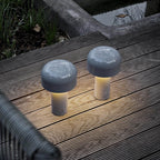 Lampe de Table LED - Éclairage Dimmable Trois Couleurs avec Commande Tactile et Recharge USB-C