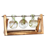 Station de Bouturage pour Plantes - Support en Bois avec Tubes en Verre