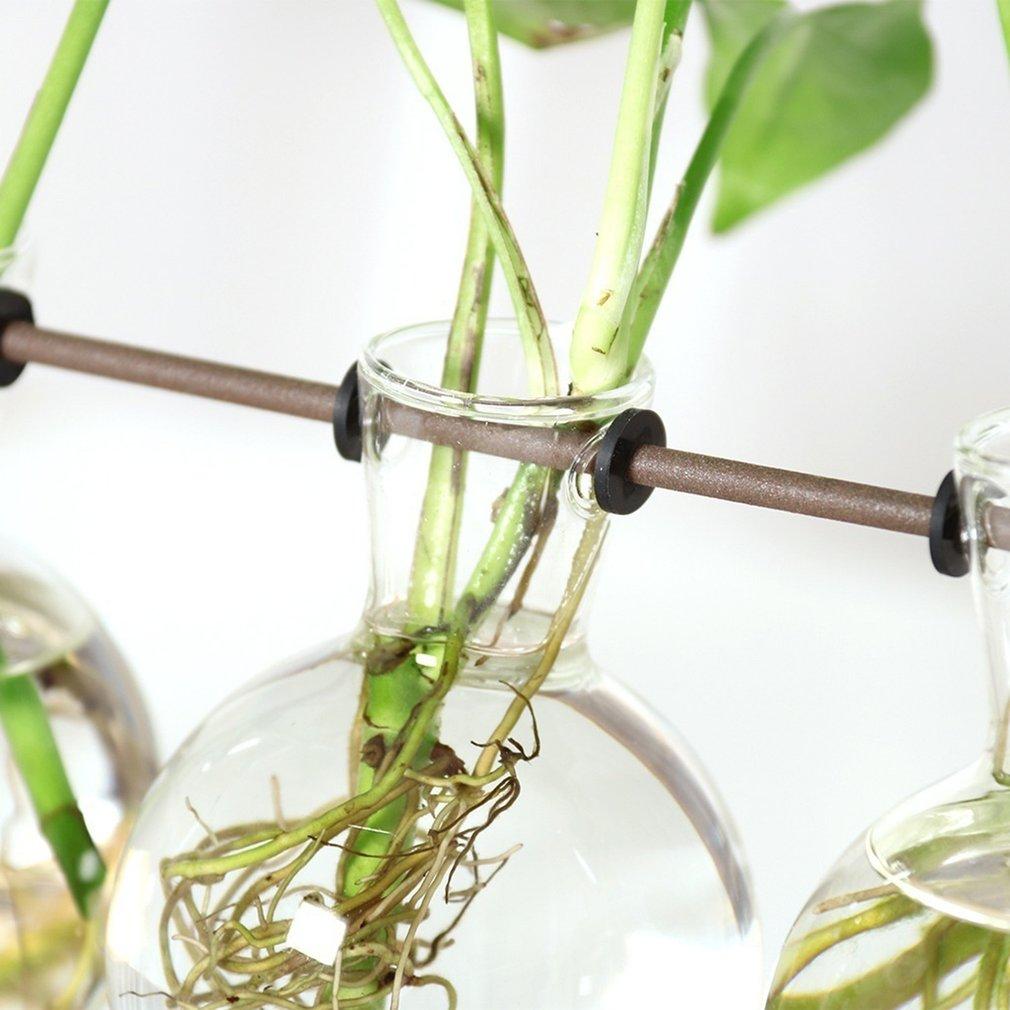 Station de Bouturage pour Plantes - Support en Bois avec Tubes en Verre