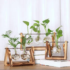 Station de Bouturage pour Plantes - Support en Bois avec Tubes en Verre