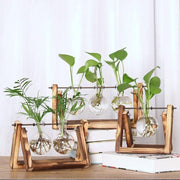 Station de Bouturage pour Plantes - Support en Bois avec Tubes en Verre