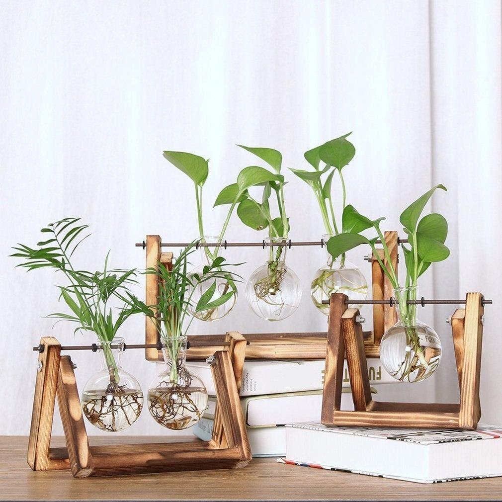Station de Bouturage pour Plantes - Support en Bois avec Tubes en Verre